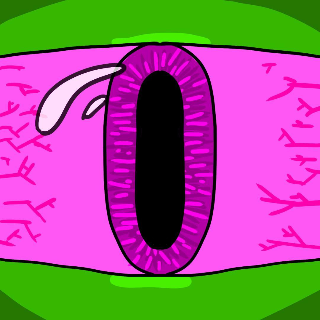 Bombus Confusus (itch) - кадр 1