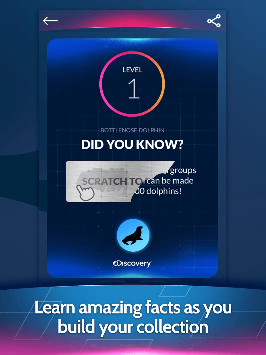 Discovery Card Quest - кадр 14