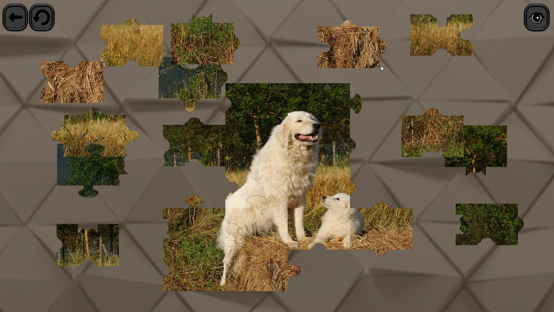 Puzzles for smart: Dogs - кадр 2