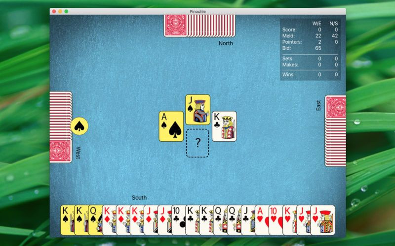 Pinochle - кадр 5
