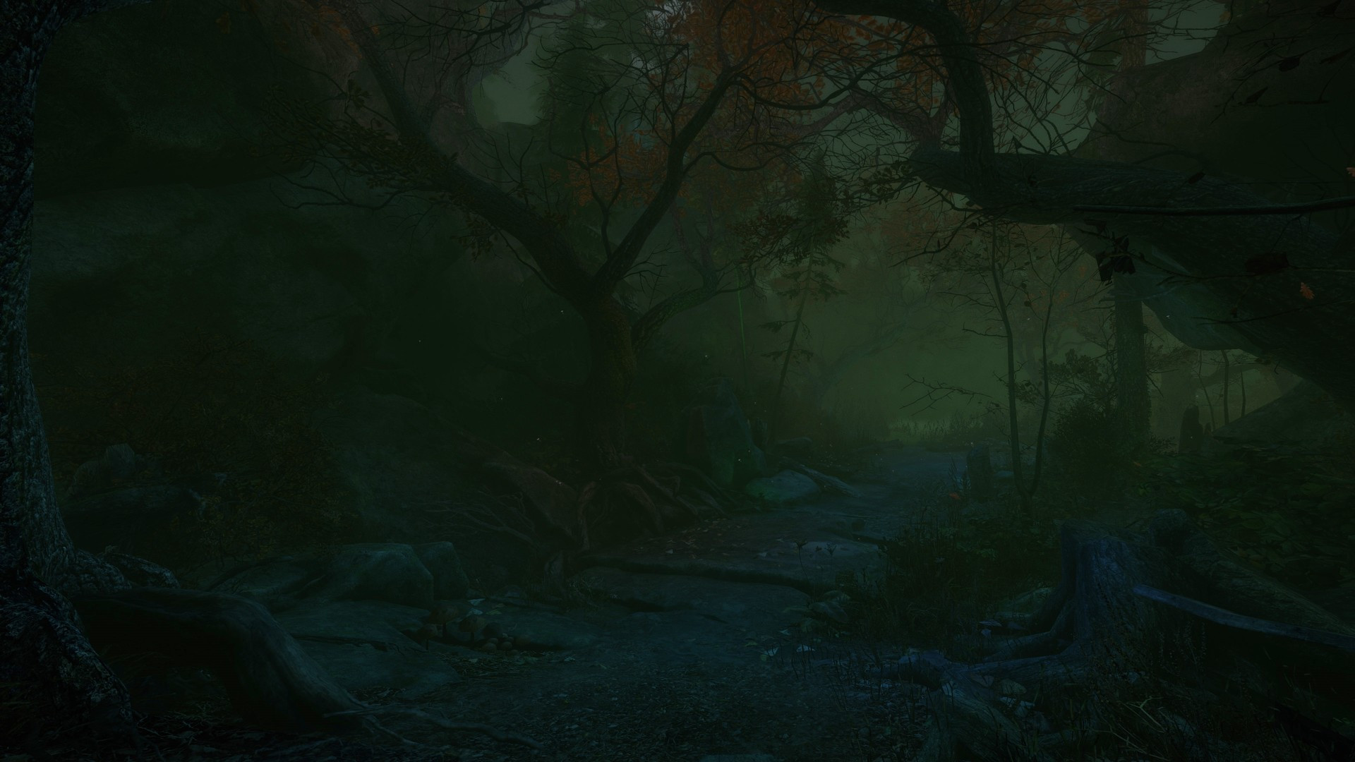 The Cursed Forest - кадр 12