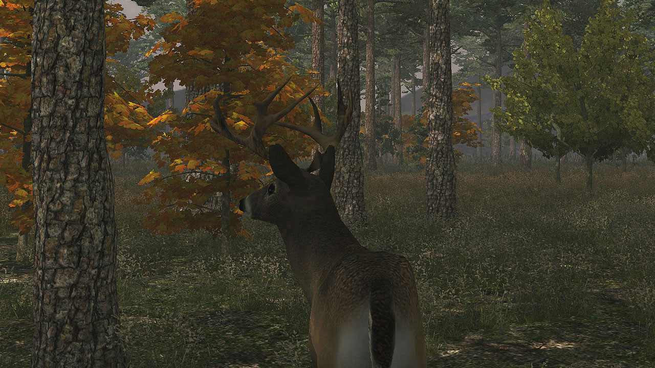 Deer Simulator - кадр 5
