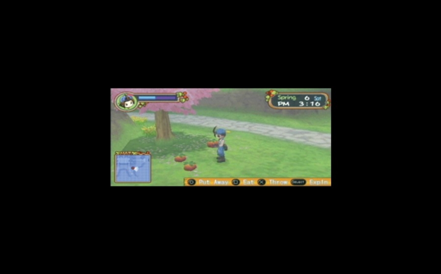 Harvest Moon: Hero of Leaf Valley - кадр 15