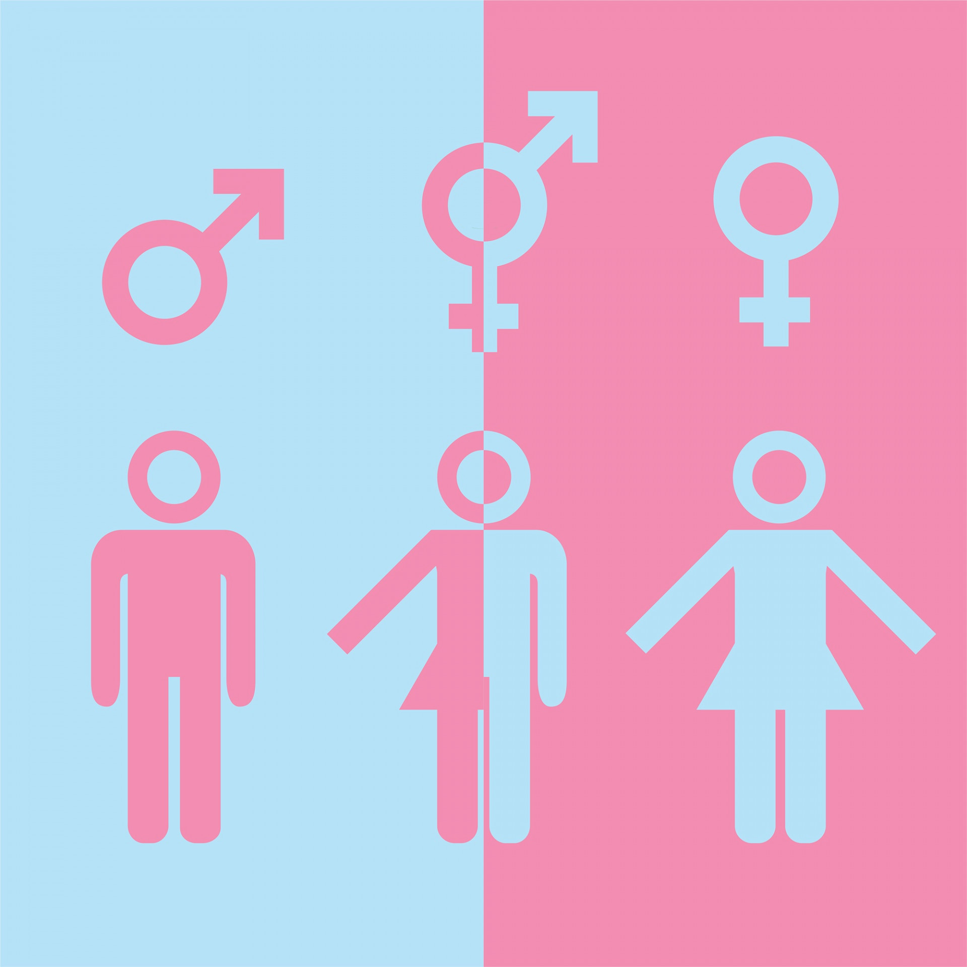 The Gender Bender (itch) - кадр 1