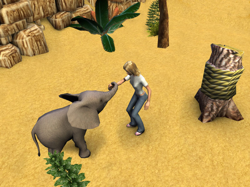 Pet Vet 3D: Wild Animal Hospital - кадр 14