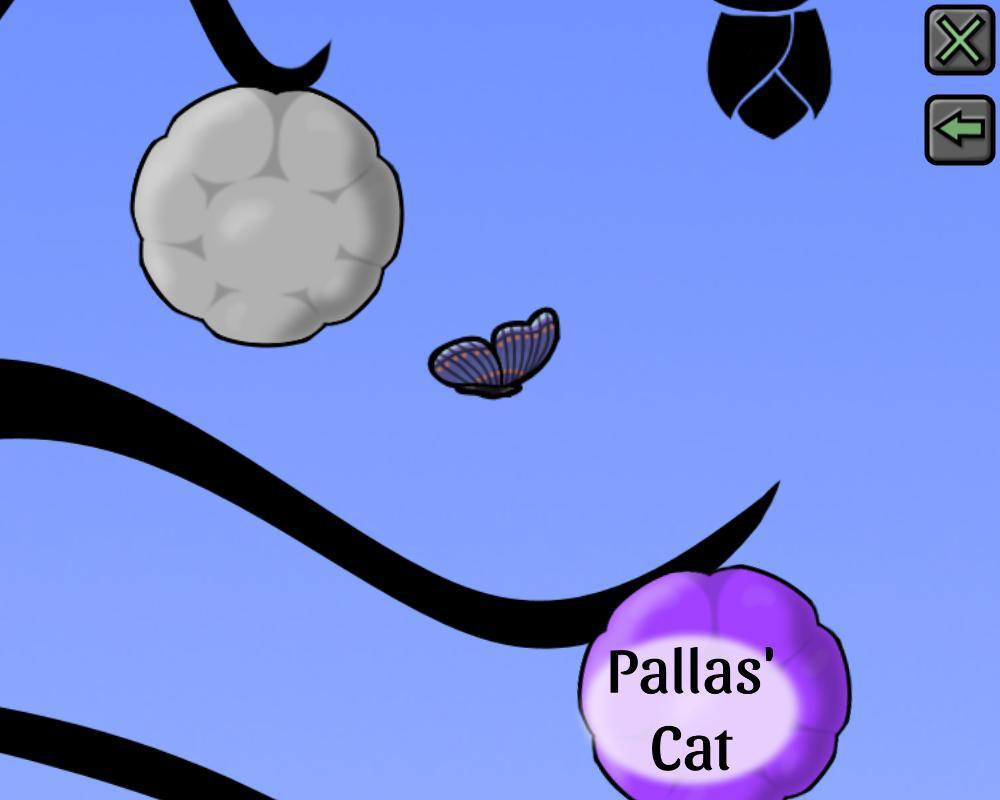 Felidae Phylogenetic Tree (itch) - кадр 4