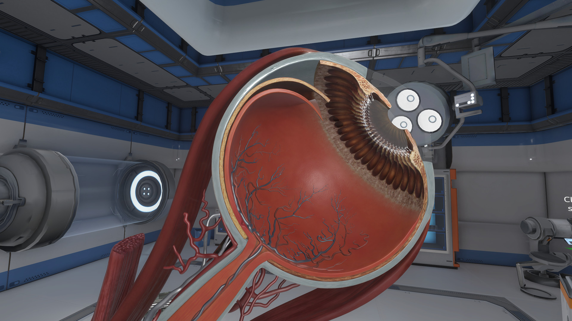 The Physiology of the Eye - кадр 10