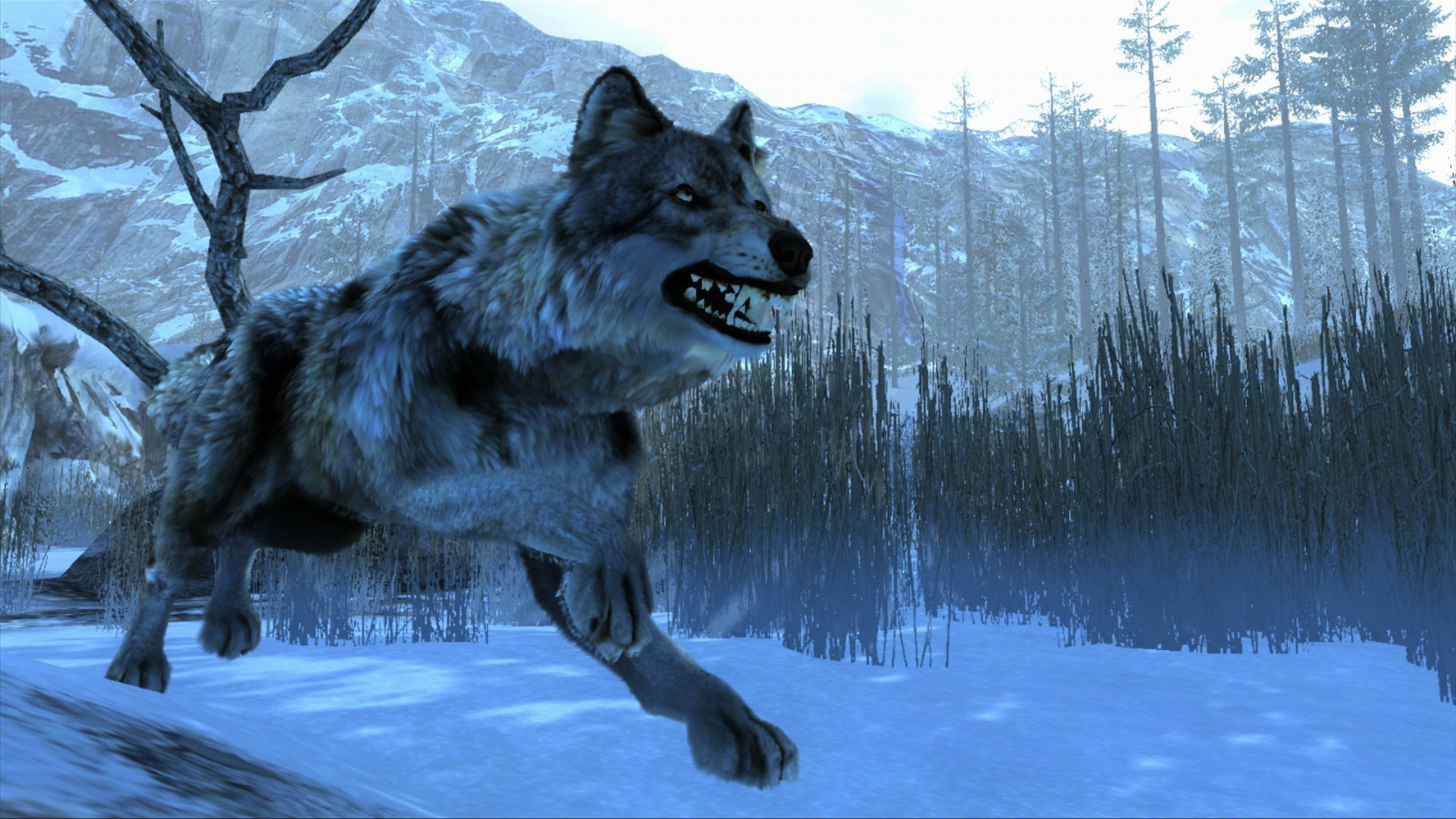 Cabela's Dangerous Hunts 2013 - кадр 15