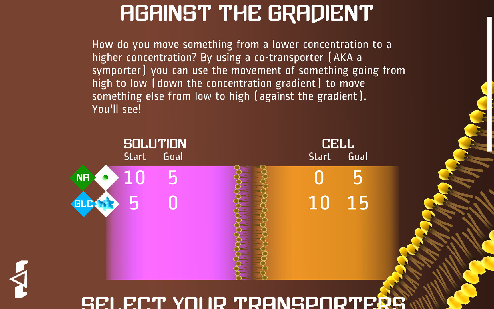 Against the Gradient - кадр 9