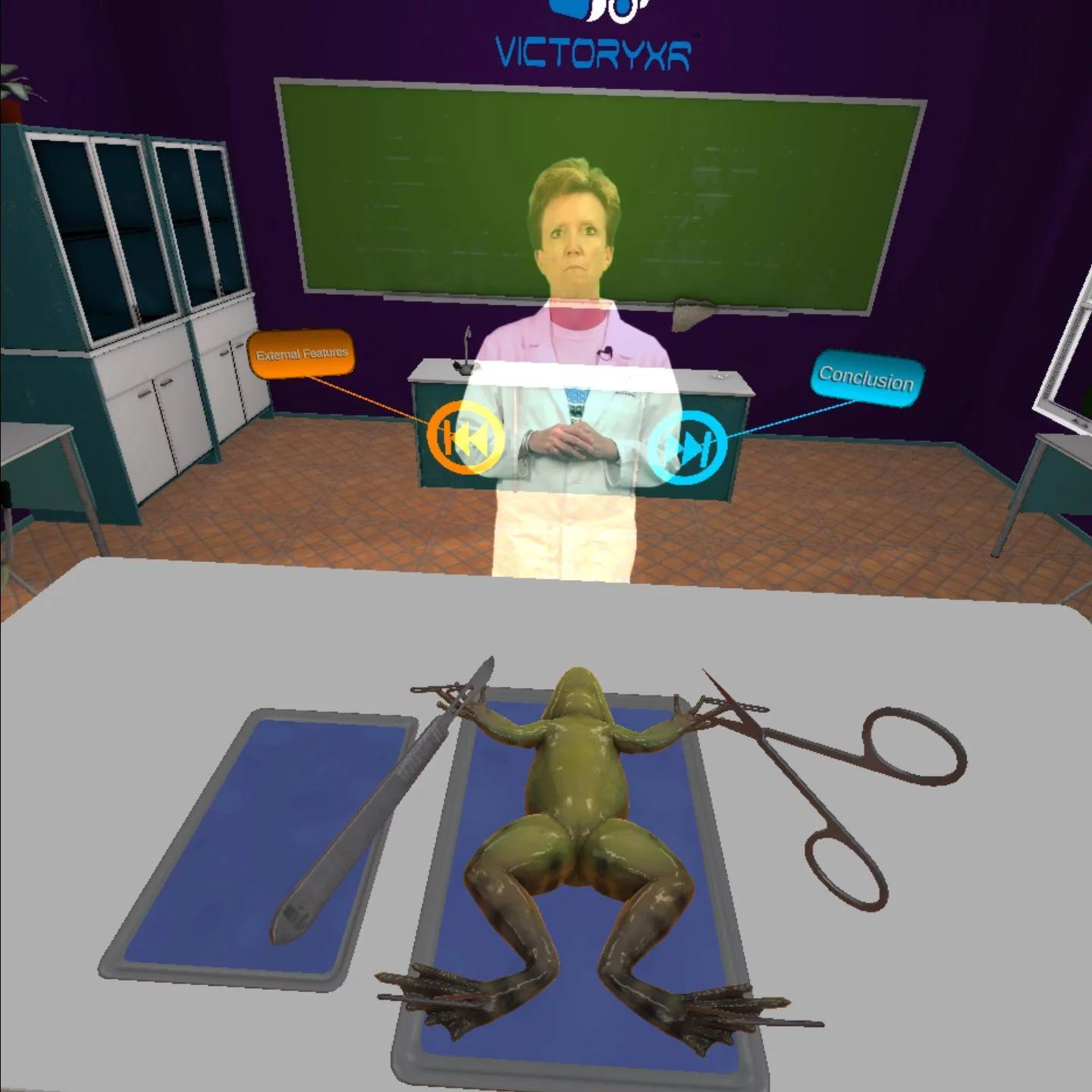 VR Frog Dissection: Ribbit-ing Discoveries (itch) - кадр 4