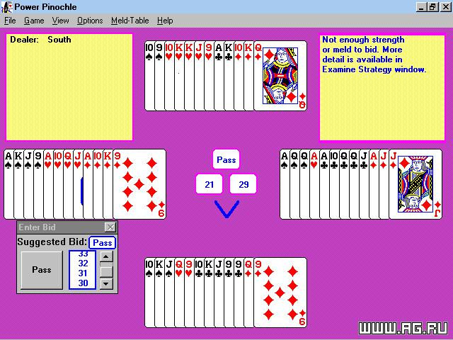 Power Pinochle - кадр 1