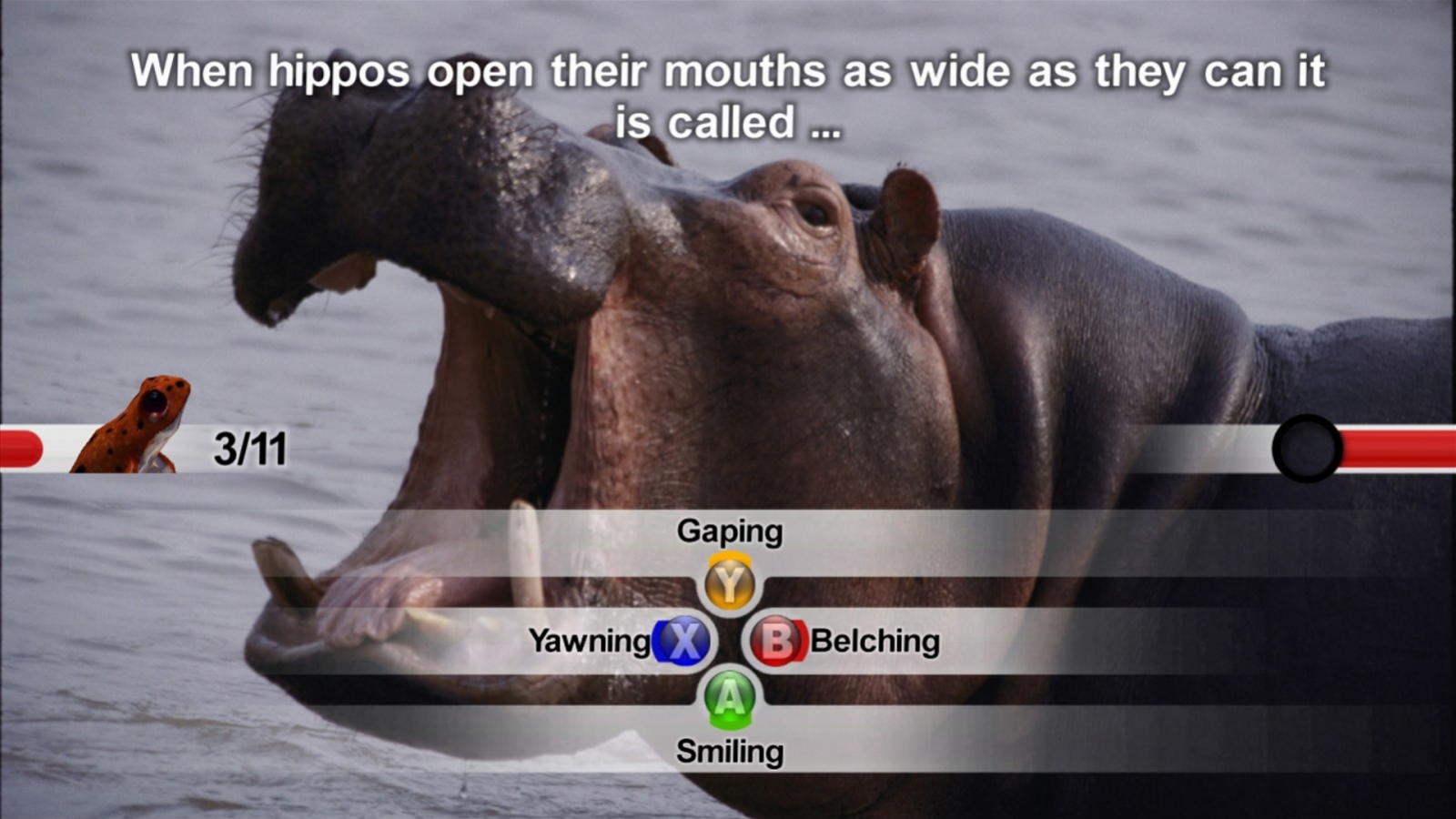 NatGeo Quiz! Wild Life - кадр 3