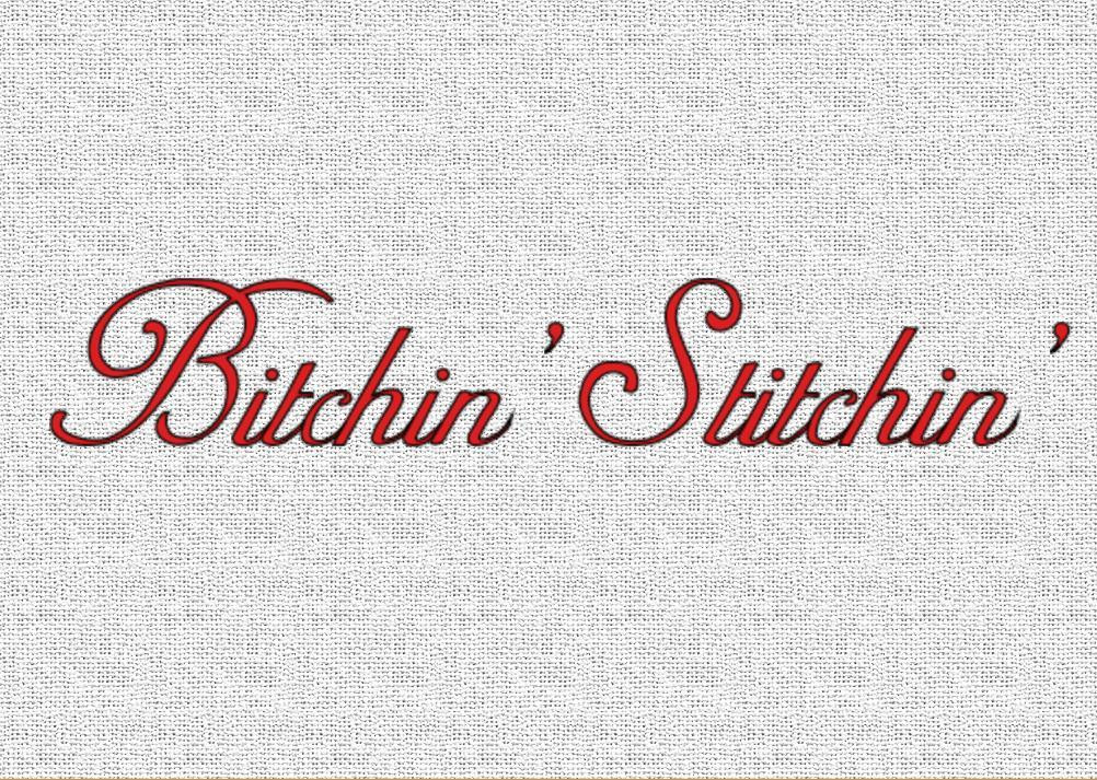 Bitchin Stitchin - кадр 1