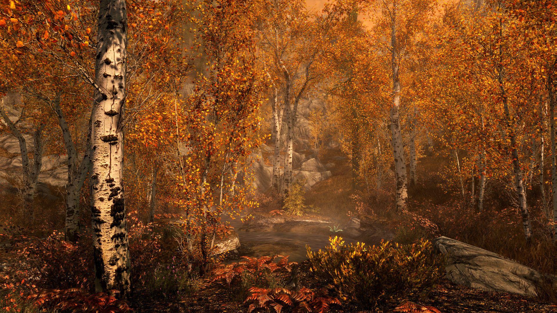 The Elder Scrolls V: Skyrim Special Edition - кадр 8