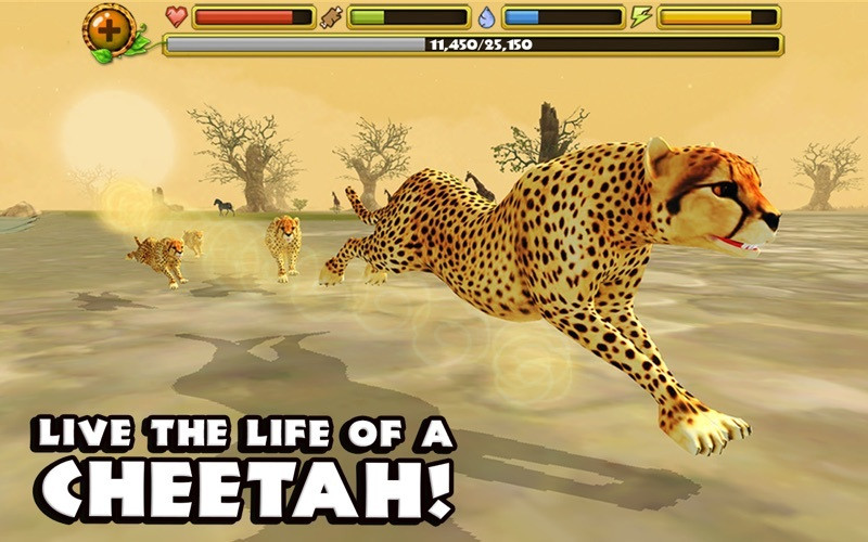Cheetah Simulator - кадр 4
