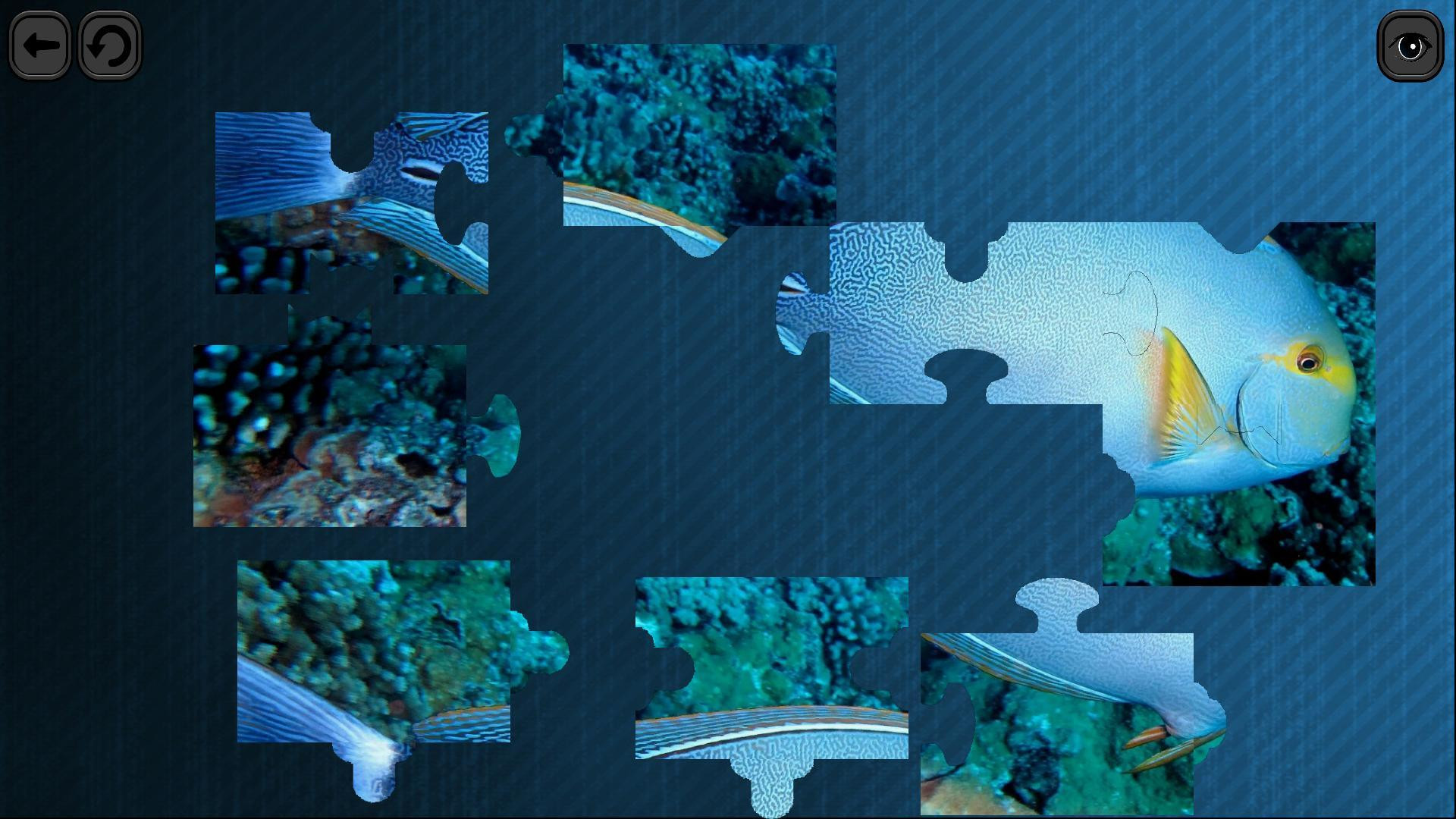 Puzzles for smart: Underwater Kingdom - кадр 4