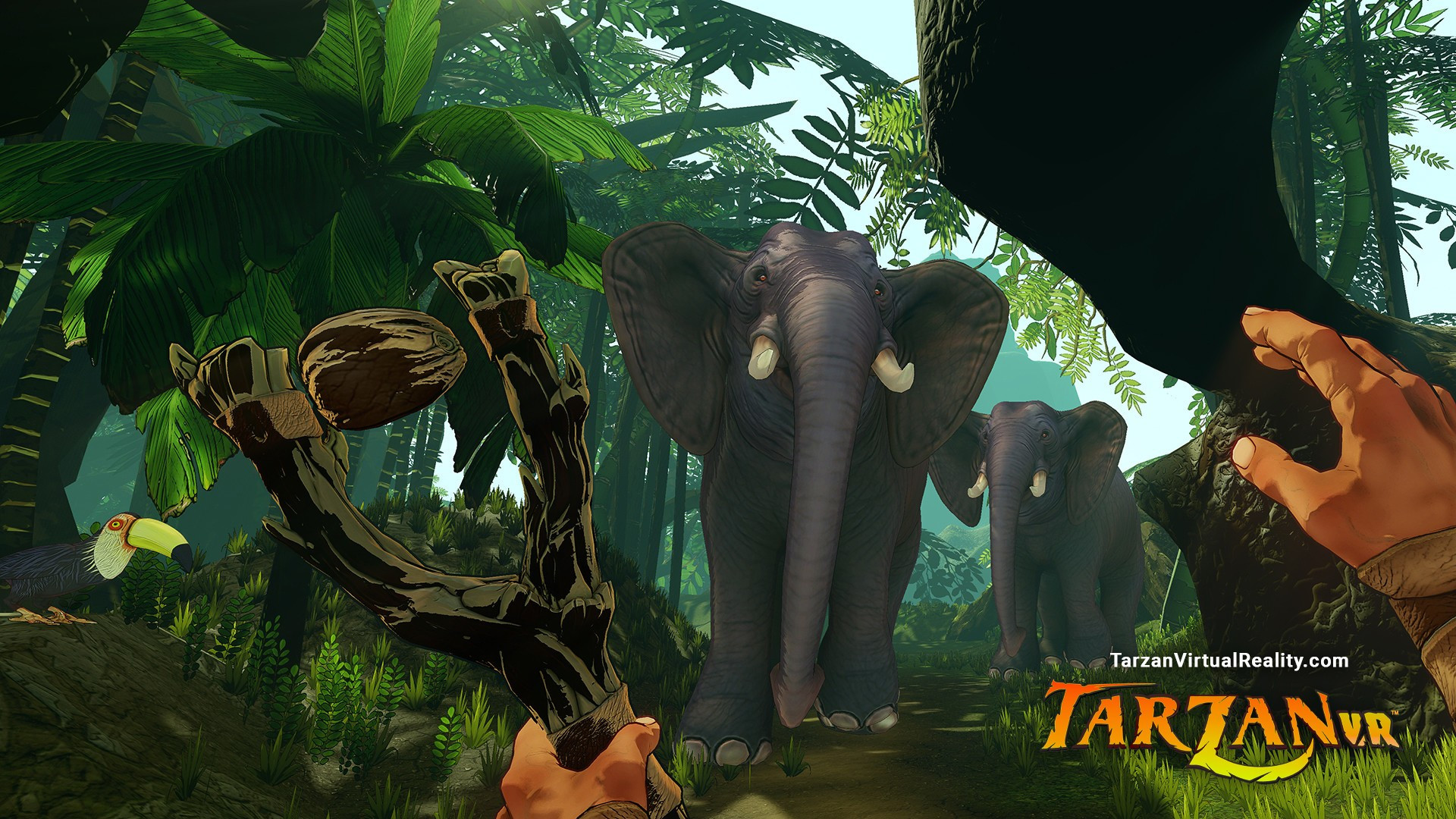 Tarzan VR - кадр 7