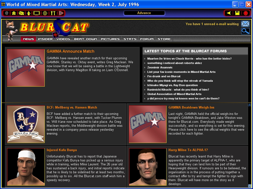 World of Mixed Martial Arts - кадр 7