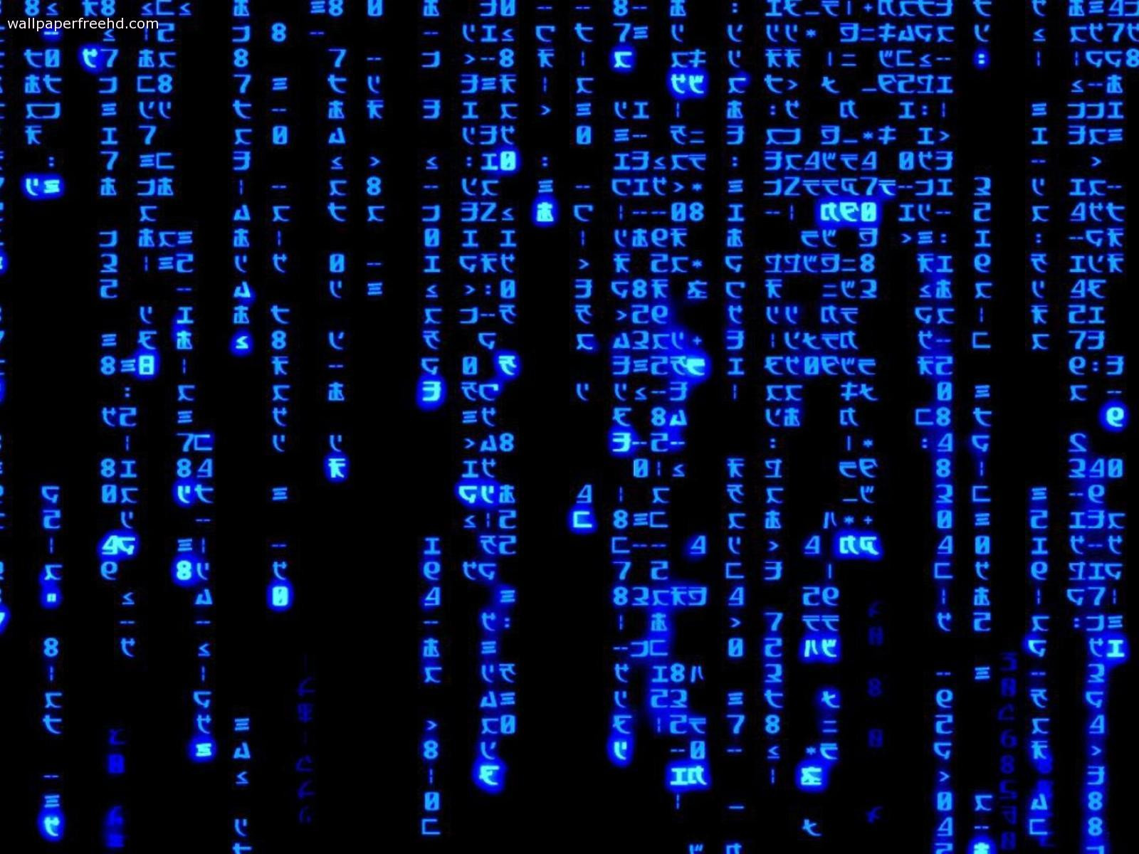Glitch Zone Web - кадр 1