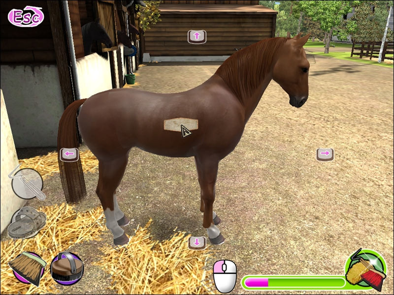 My Gallops 3D - кадр 3