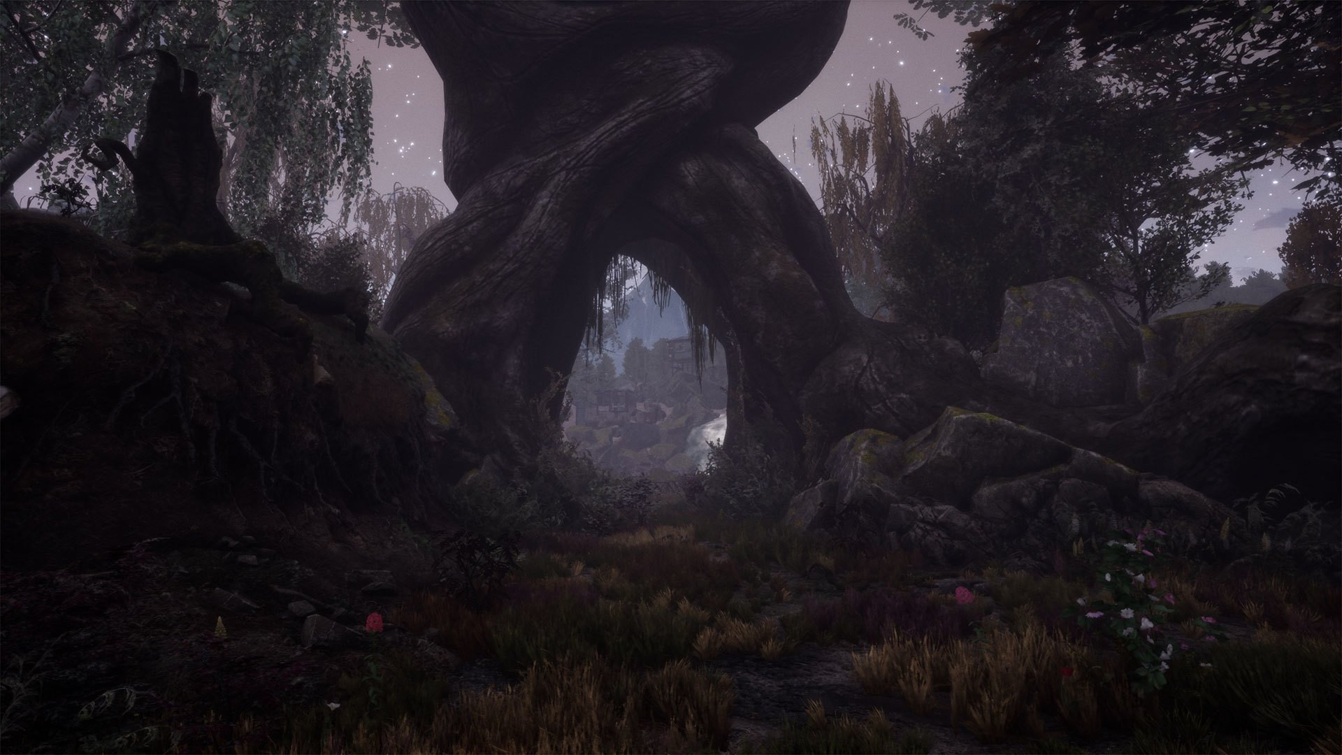 The Dead Tree of Ranchiuna - кадр 11