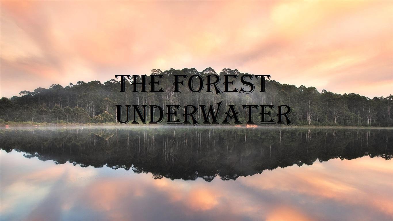 the forest underwater (itch) - кадр 1