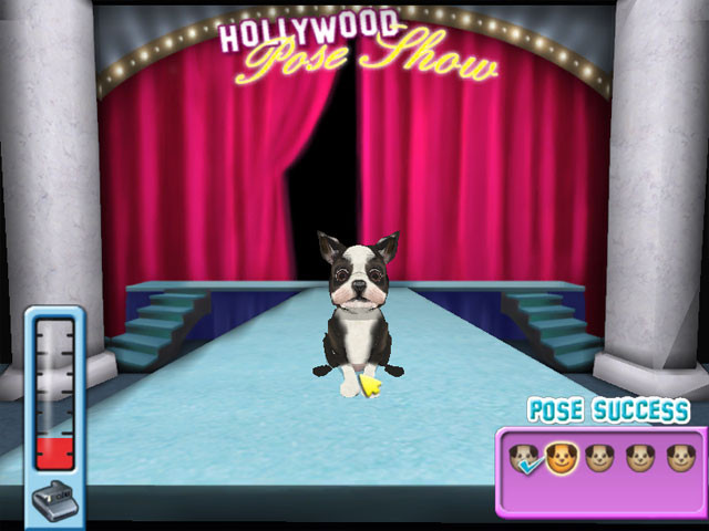 Hollywood Pets - кадр 5