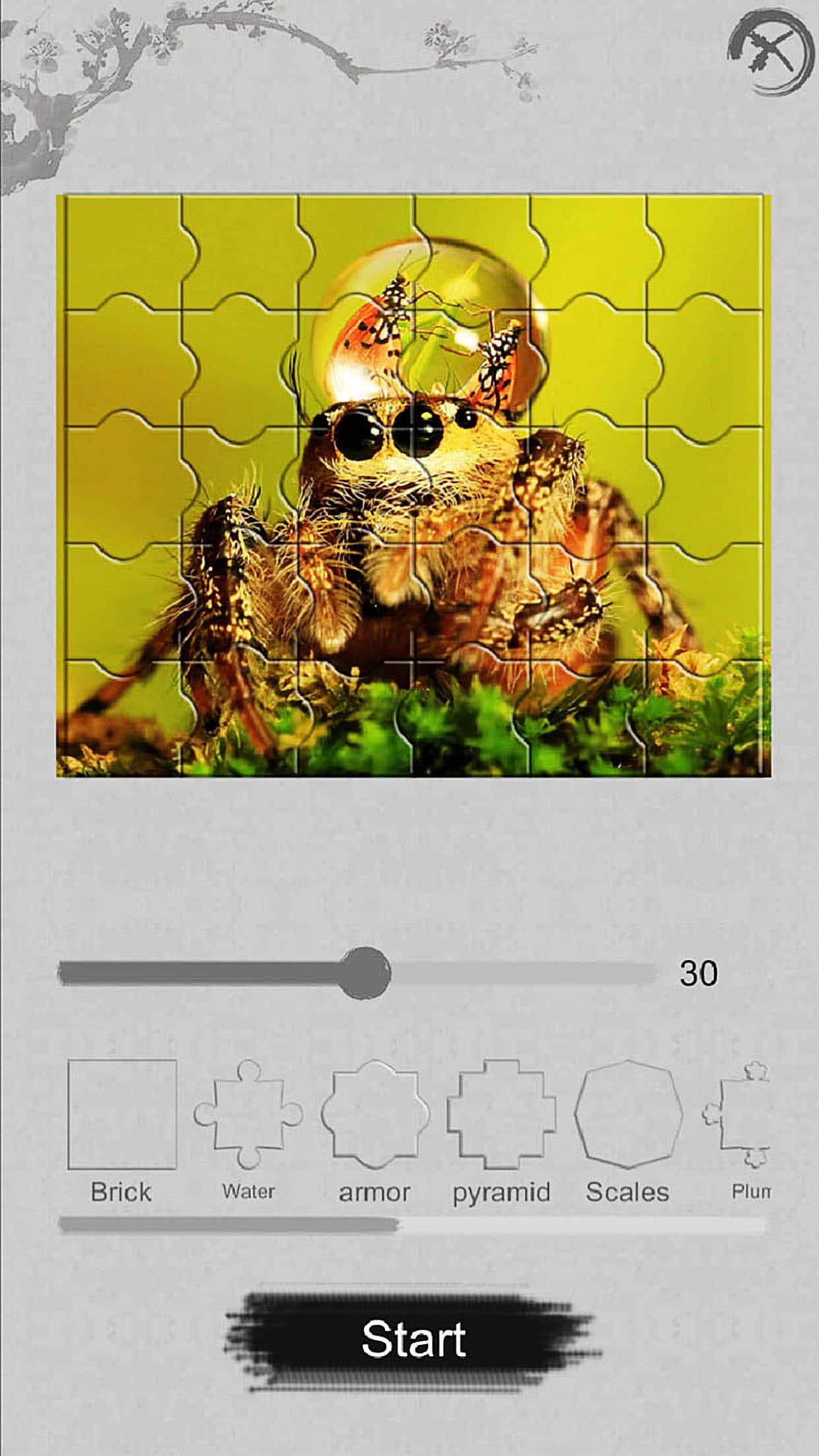 Jigsaw puzzle - Evolution - кадр 4