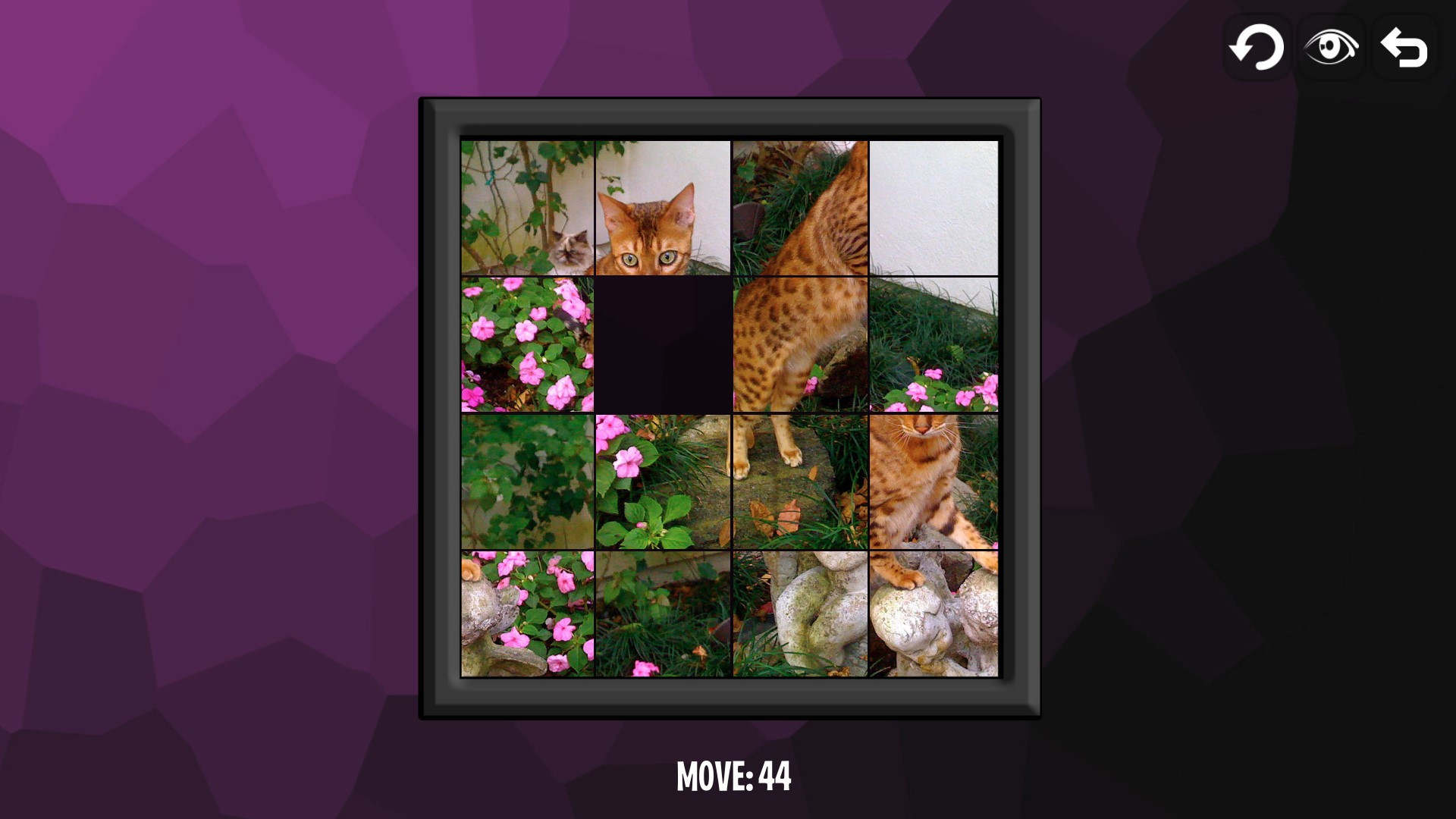Intelligence: Cats - кадр 4