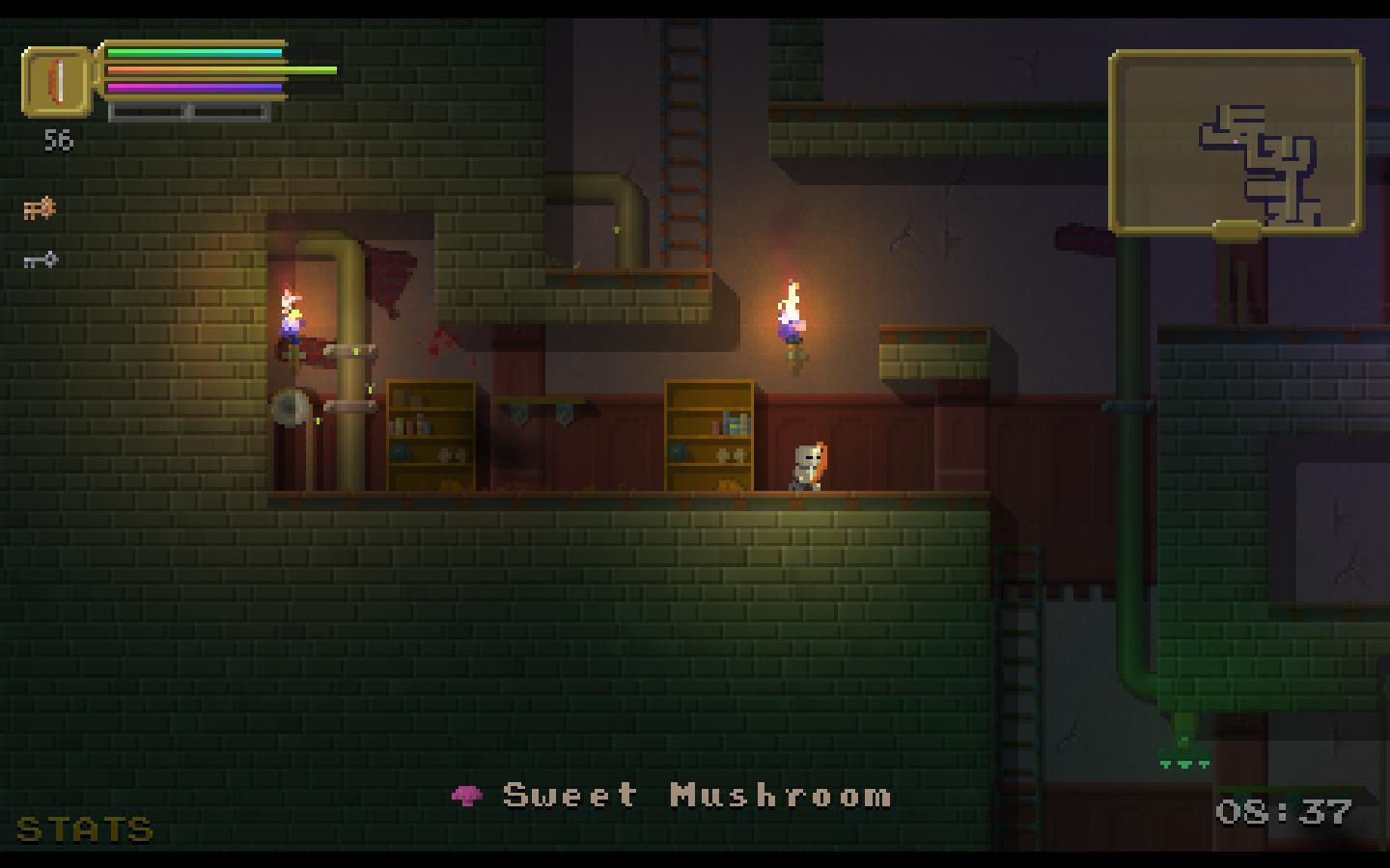 The Dungeoning (itch) - кадр 1