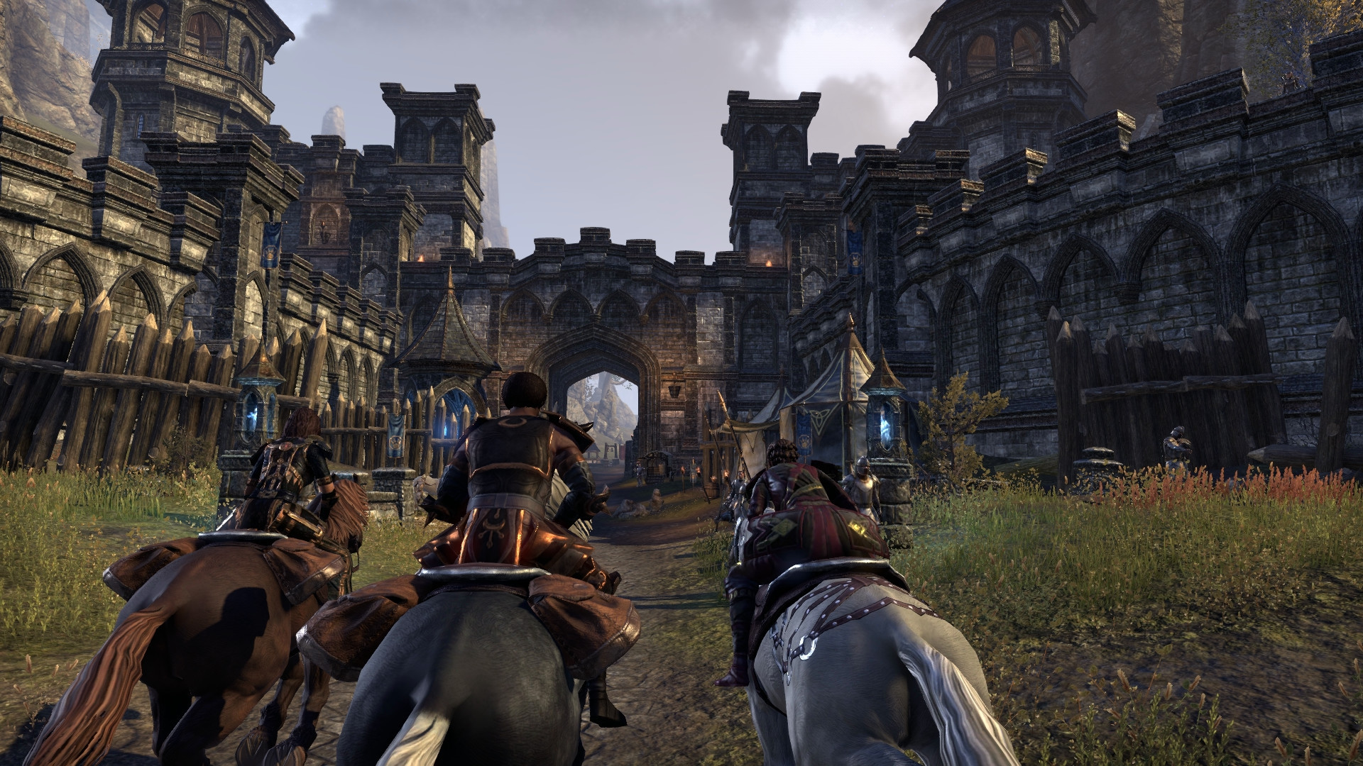 The Elder Scrolls Online: Gold Edition - кадр 6