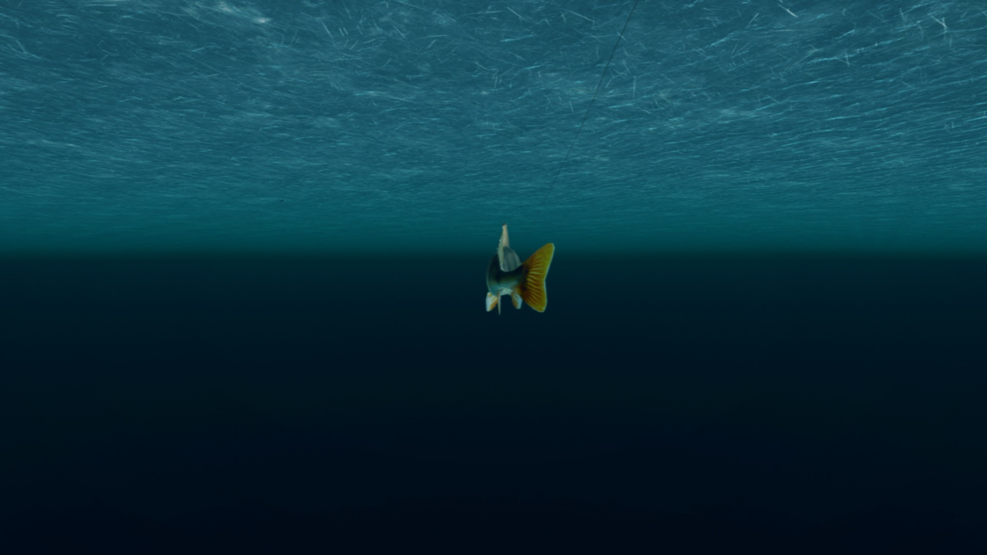 Ultimate Fishing Simulator VR - кадр 14