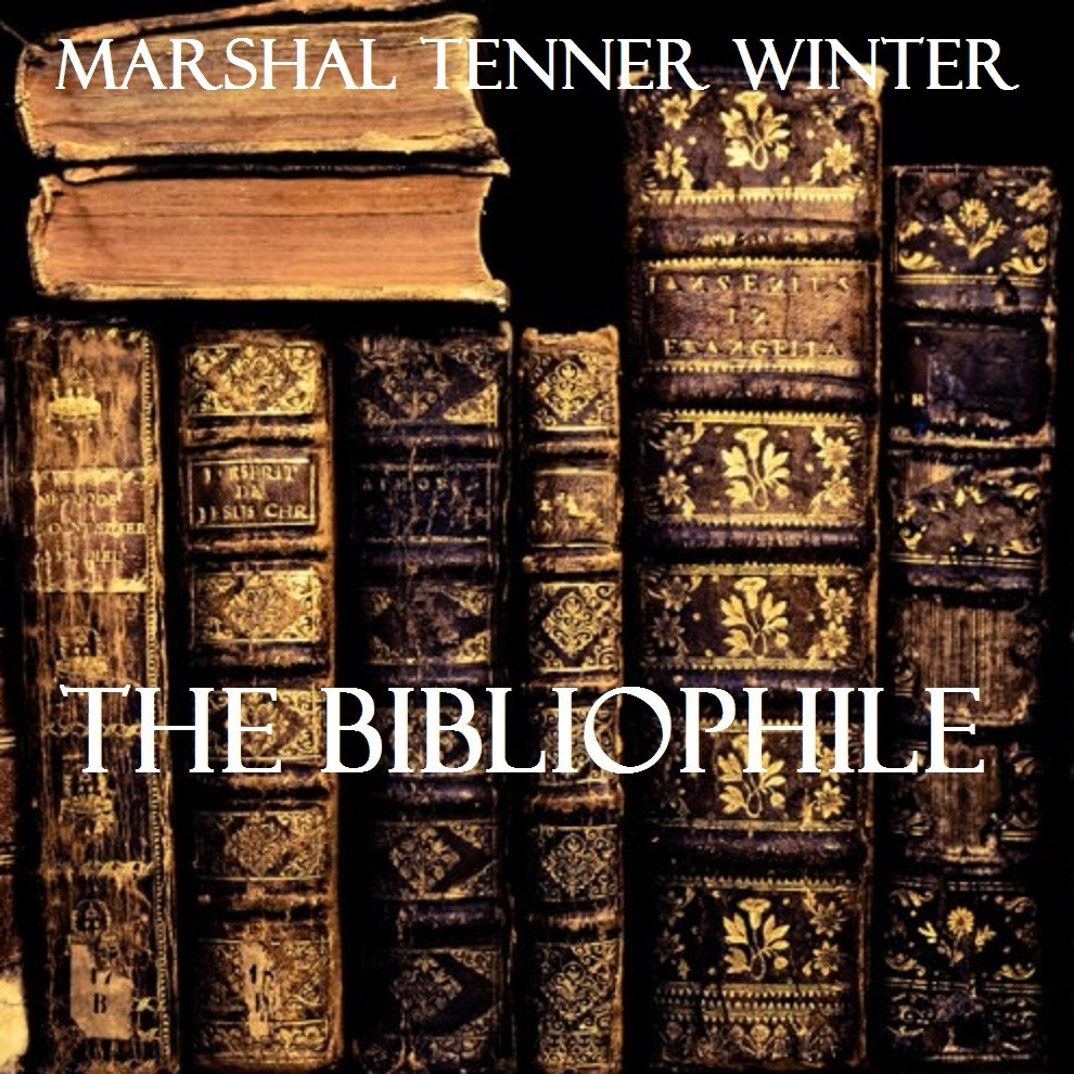 The Bibliophile (itch) - кадр 1