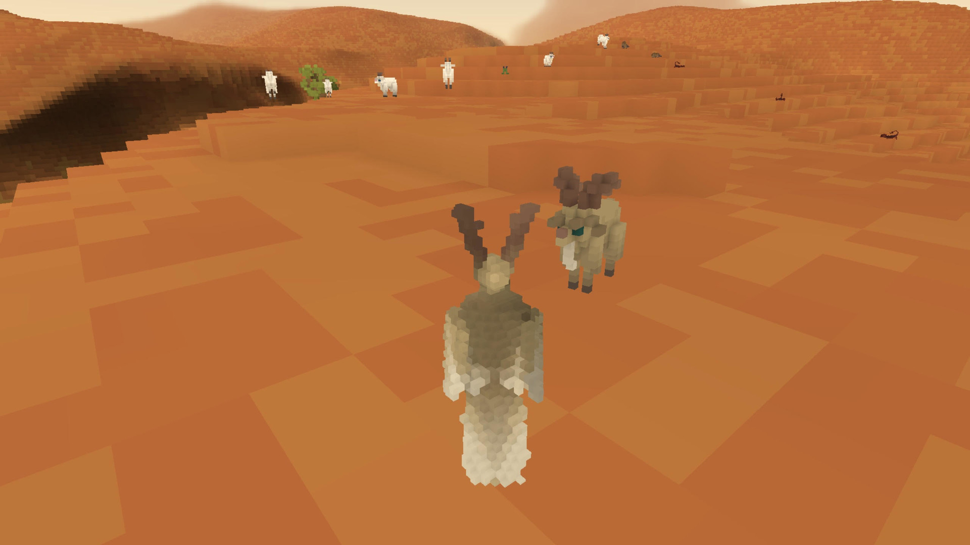 Fugl - Meditative bird experience game [Alpha Version] - кадр 3