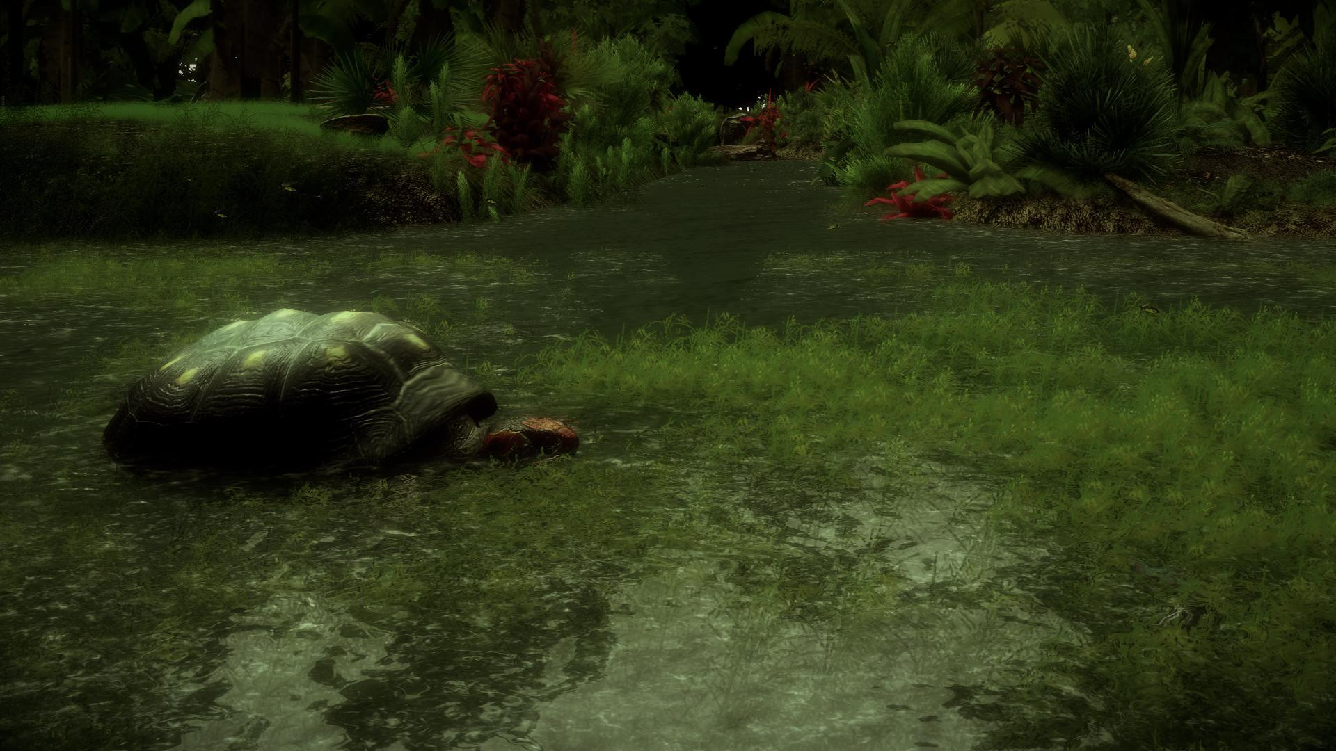 The Red-Footed Tortoise (itch) - кадр 4
