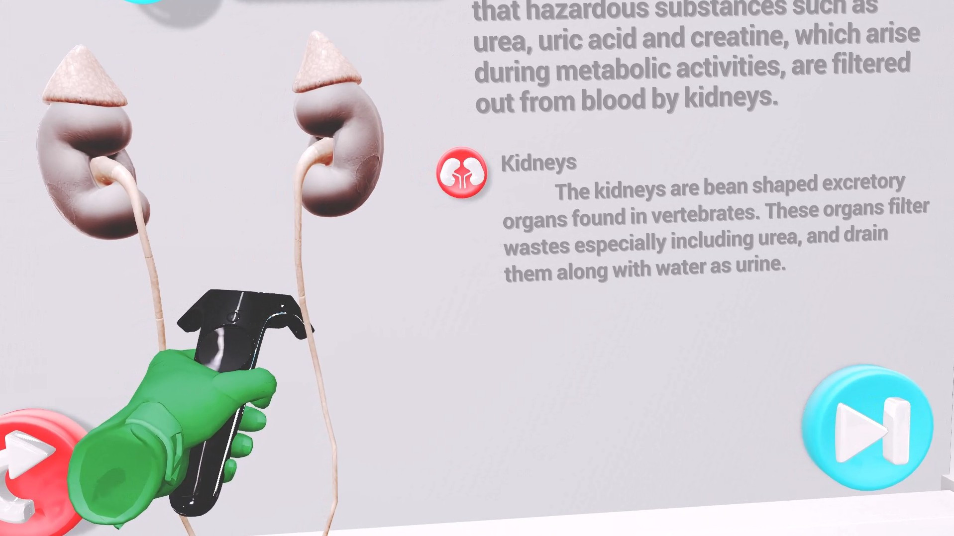 VRLab Academy: Anatomy VR - кадр 5