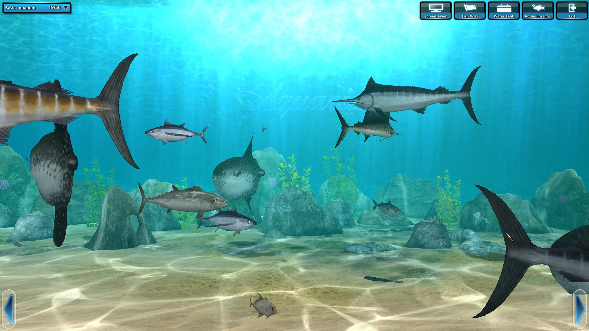 World of Fishing - кадр 10