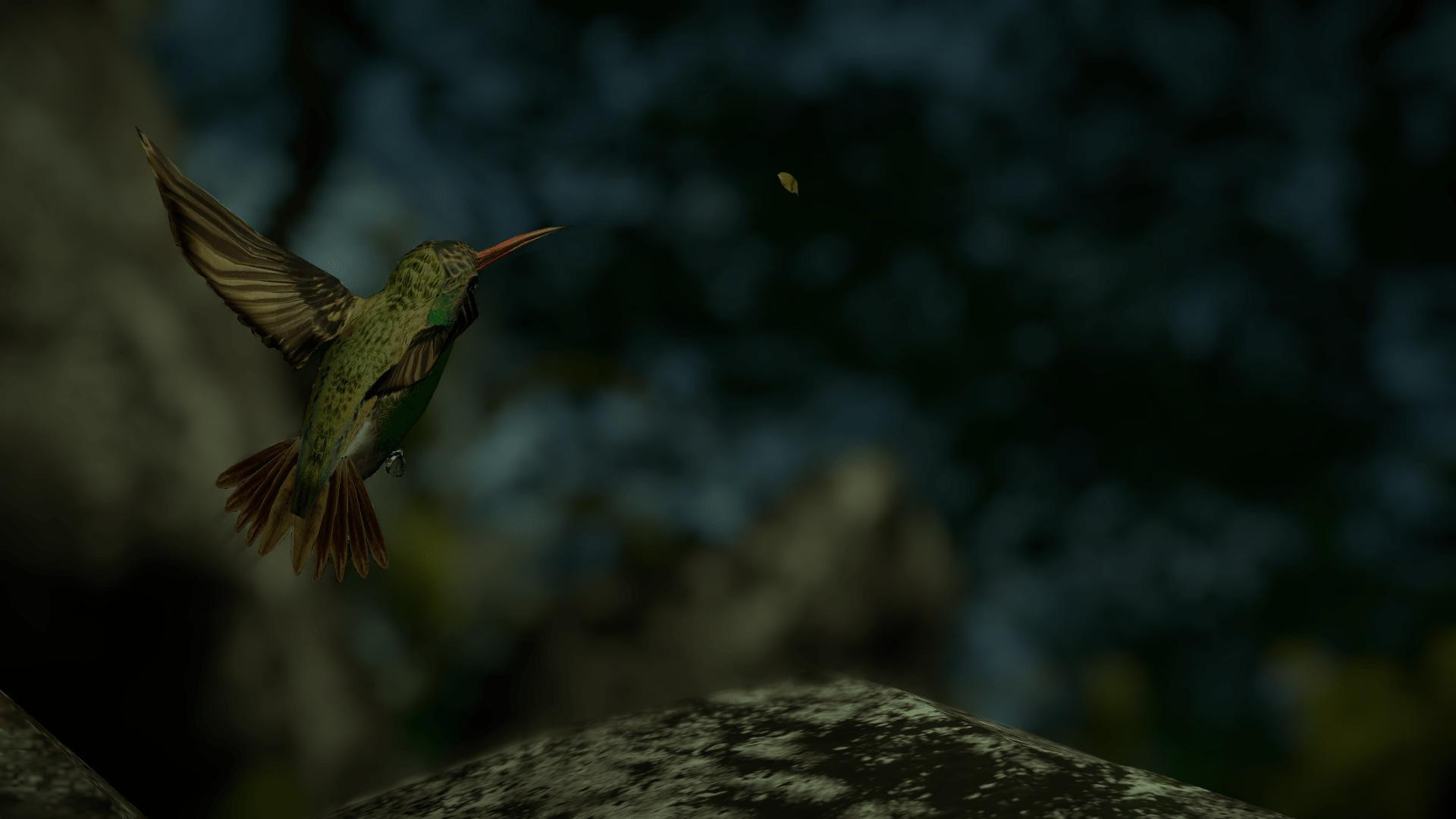 The Vogelkop Bowerbird (itch) - кадр 8