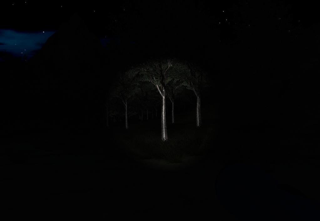 Slender: Strange Forest - кадр 6