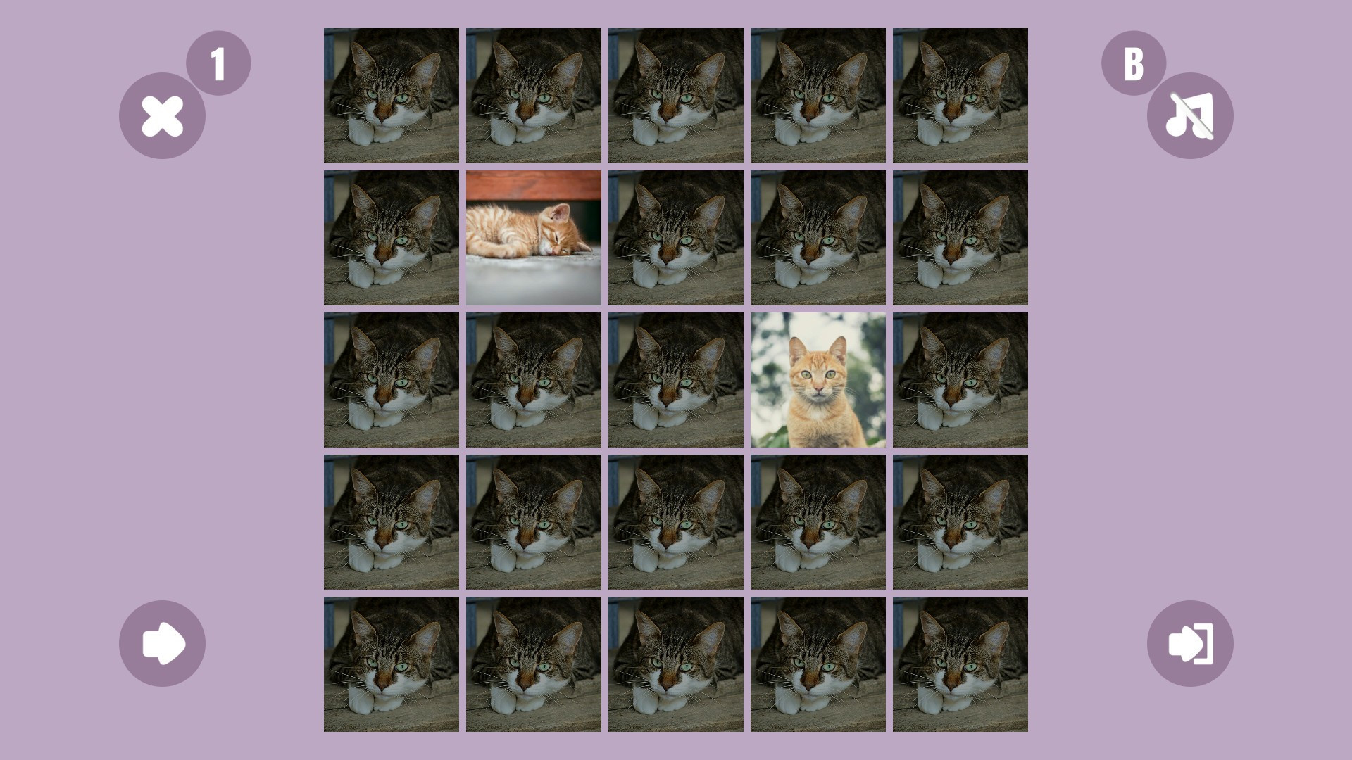Cat couple - кадр 4