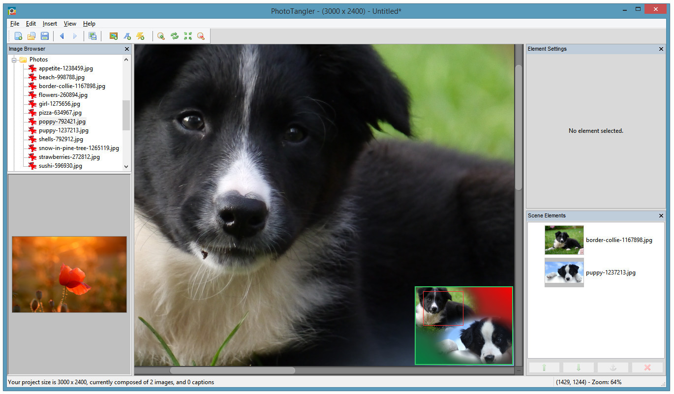 PhotoTangler Collage Maker - кадр 5