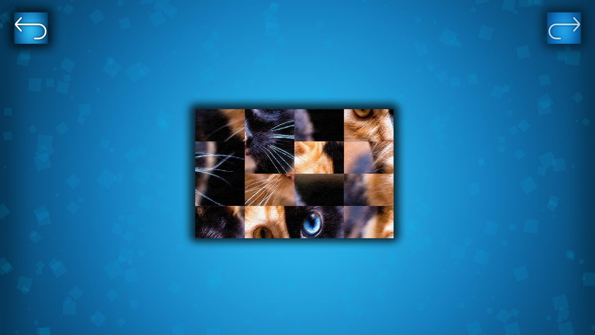 PUZZLE: CATS & DOGS - кадр 3