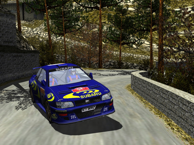 Rally Racing Simulation - кадр 6