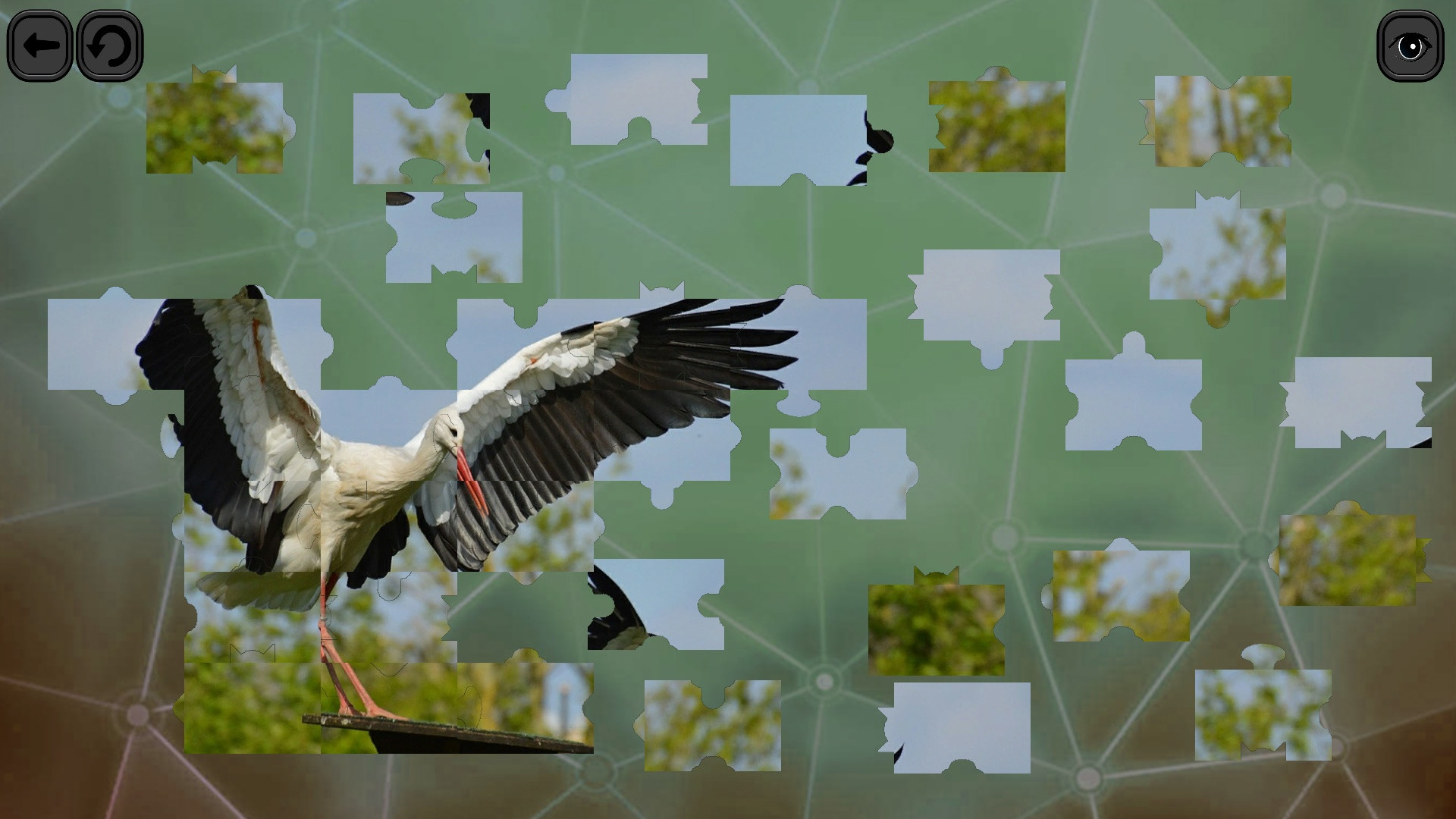 Puzzles for smart: Birds - кадр 6