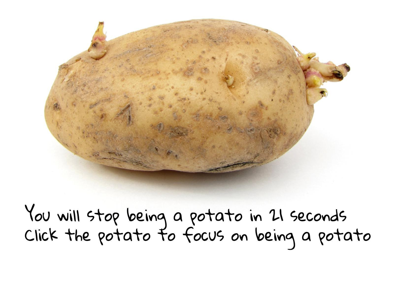 Potato Simulator 2014 Remix (itch) - кадр 2