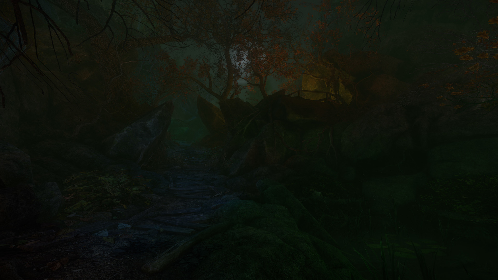 The Cursed Forest - кадр 13