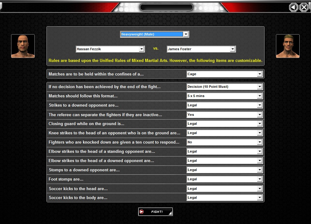 World of Mixed Martial Arts 3 - кадр 13