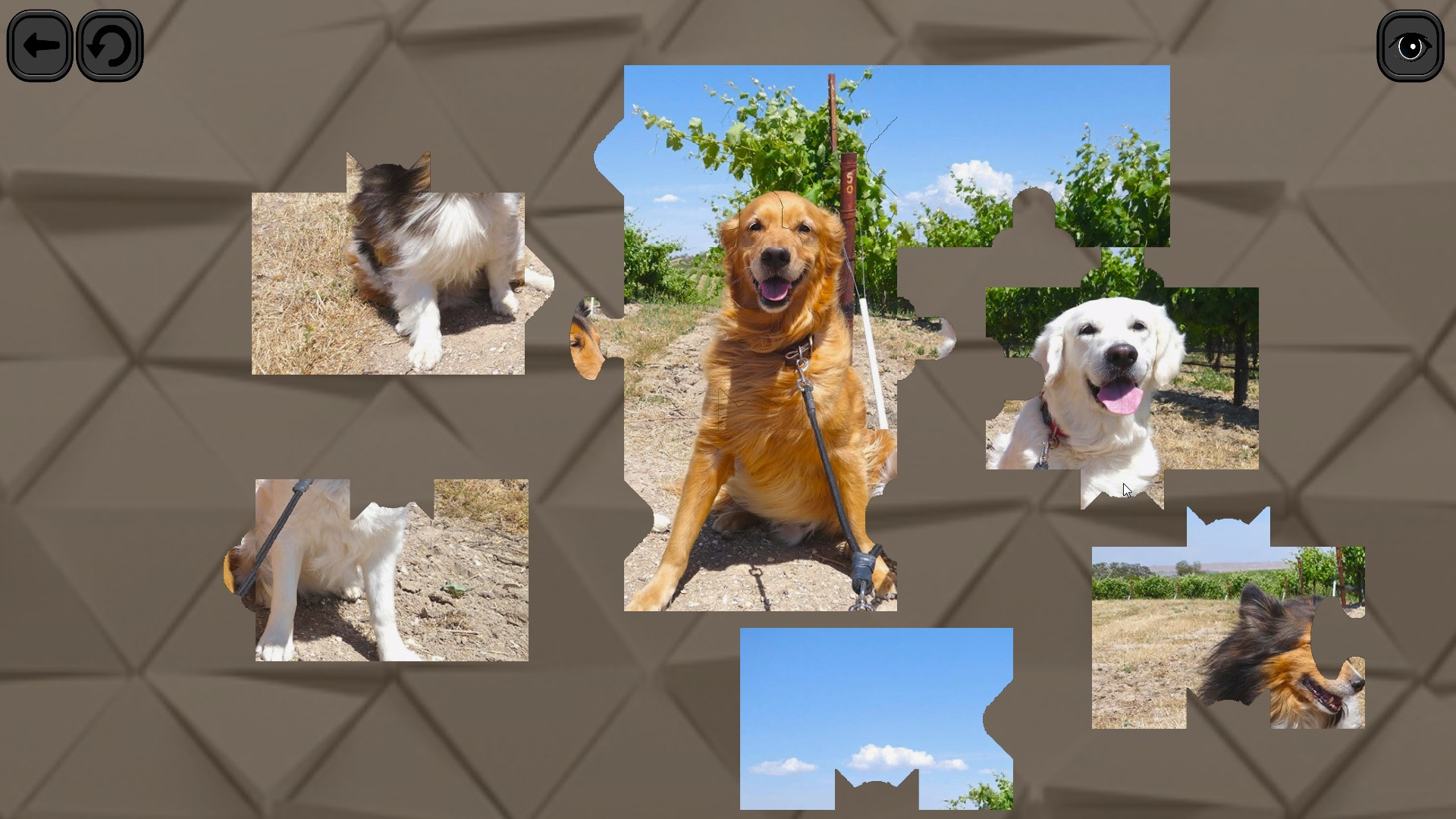 Puzzles for smart: Dogs - кадр 4
