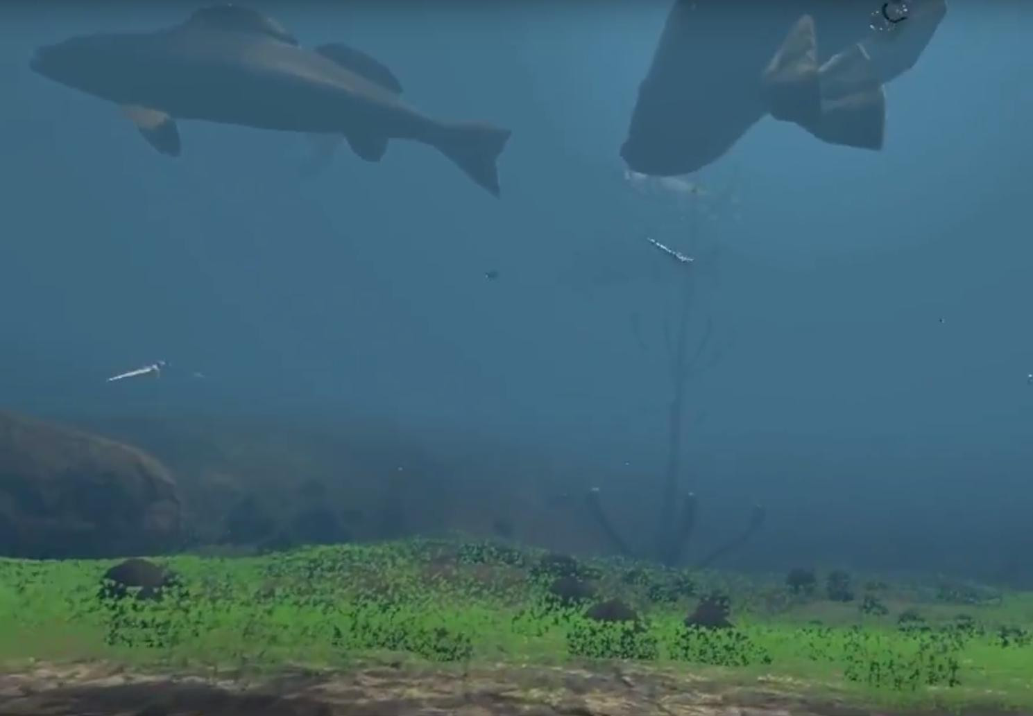 The Aquatic Messenger (itch) - кадр 4