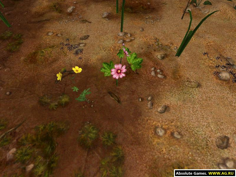 Empire Of The Ants - кадр 13